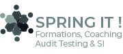 Spring it Audits et Formations informatiques Lorient